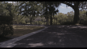 C8AE0068-34DC-412C-B72D-207E72DD75F2.gif