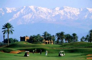 golf_maroc_palmeraie.jpg