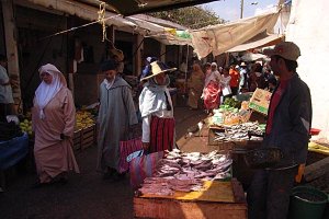 Bu serman - &#11569;&#11603; &#11609;&#11604;&#11598;&#11568;&#11599; - vendeur de poissons.jpg