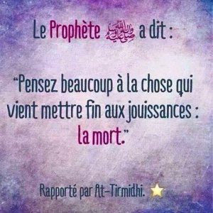 proverbe-islam-mort_6.jpg