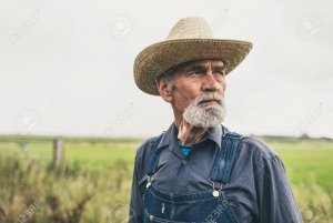 43207710-fermez-le-fermier-à-barbe-mâle-avec-un-chapeau-de-paille-debout-à-la-ferme-et-en-rega...jpg