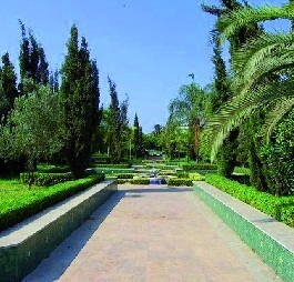 rabat nature.jpg