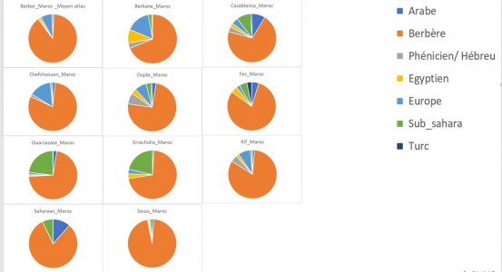 admixture MAROC.JPG