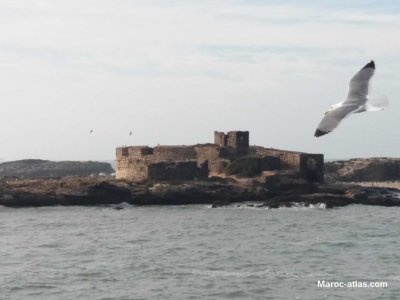 Maroc-Atlas-lîle-de-Mogador-1024x768.jpg