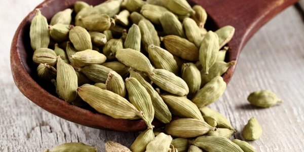 cardamome.jpeg