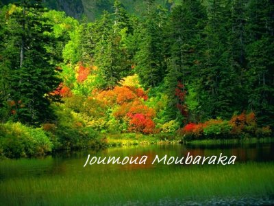 joumoua moubaraka01.jpg