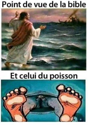 Point de vue de la bible.jpeg