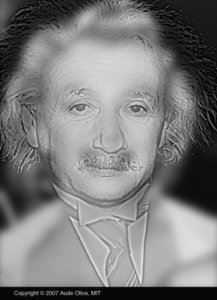 illusions_monroe_einstein.jpg