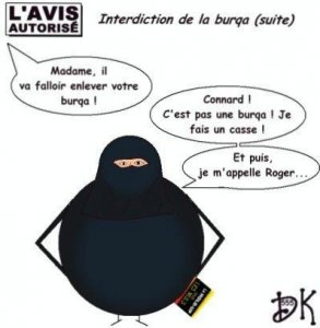 lavis-autorise-interdiction-burqa-suite-L-1.jpg