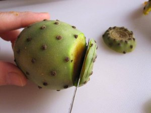 prickly-pears-cut-ends.jpg