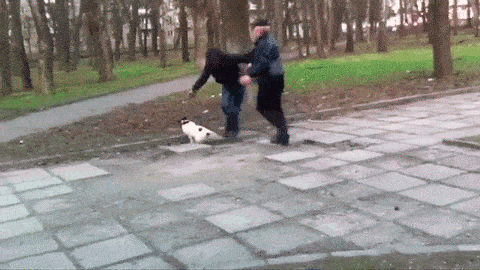 gif-funny-fight-34.gif