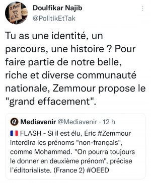 Zemour le grand effacement  .jpg