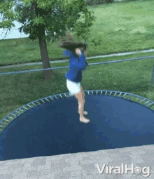 somersault-trampoline.gif