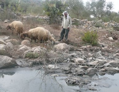 cisjordanie-eaux-polluée-zone-industrielle.jpg