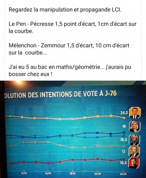 Manip sondage rep)résentation LCI.jpg