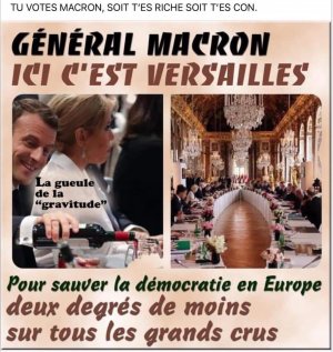 Macron versaille .jpg