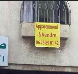 immobilier.jpeg