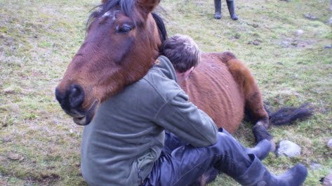 il-sait-instaurer-un-dialogue-constructif-avec-les-chevaux-photo-dr-1472140779.jpg