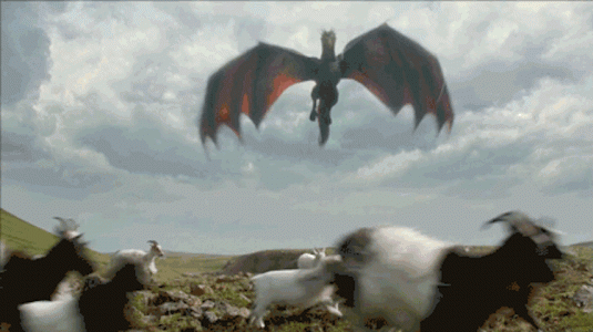 dragon vs chevres.gif