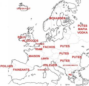 europe-vue-par-francais.jpg