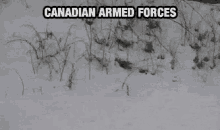 canada-army.gif