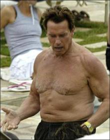 153184411_arnold_schwarzenegger_fat1_answer_2_xlarge.jpg