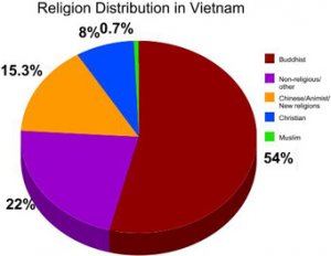 vietnam_pie_chart.jpg