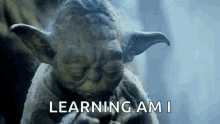 yoda-star-wars.gif