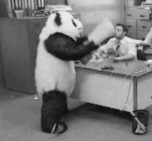 angry-panda.gif