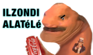 ilzondi.png