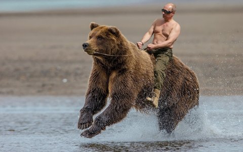 Vladimir_Putin_Men_Brown_Bears_Run_533027_1280x800.jpg