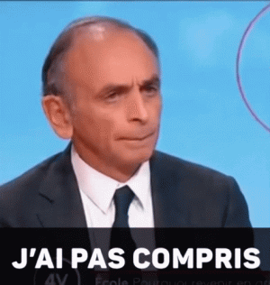 zemmour-compris.gif