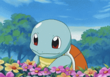 carapuce-pokemon-1.gif