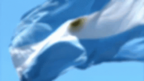 argentina.gif