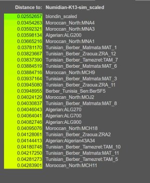 numide_setif5.jpg