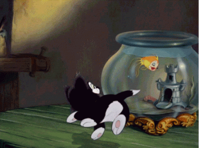 figaro-cat.gif