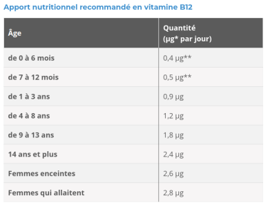 B12 par jour .png