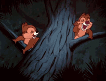 chip-dale.gif