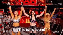 09_46_10_wwe-paige.gif