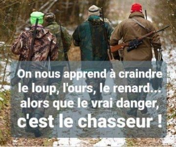 chasse1.jpg