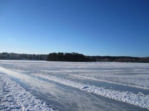 Patinage sur le Lac.jpg