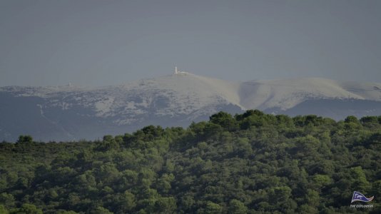 france_tv_UHD_29112023_2.jpg