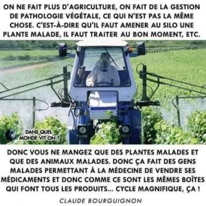 gestion de plantes malades.jpg