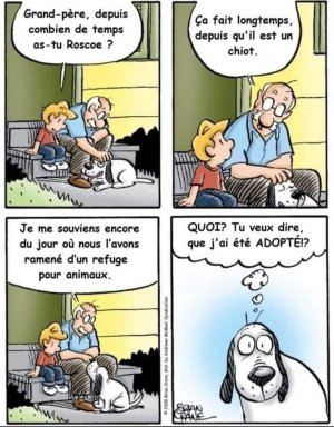 adopté.jpg