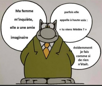 le chat Médée.png