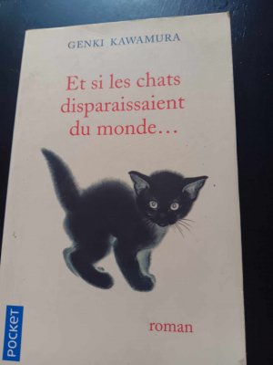 et si les chats.jpg