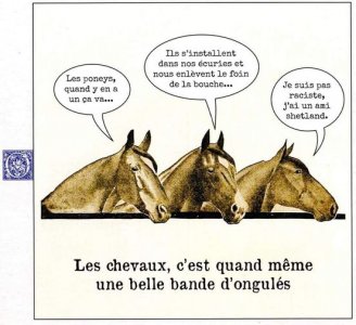 chevaux bande d'ongulés.jpg