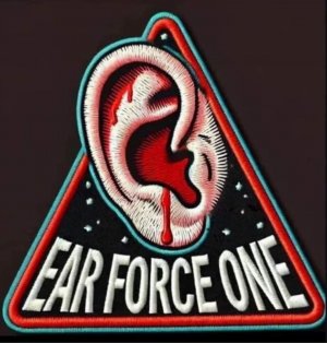 Ear Force One.jpeg