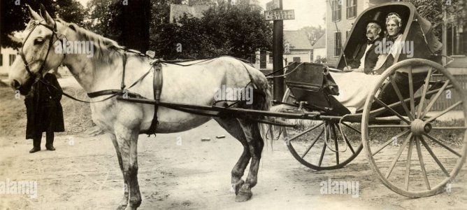 de-couple-dans-la-caleche-concord-nh-bdd2y5_1.jpg