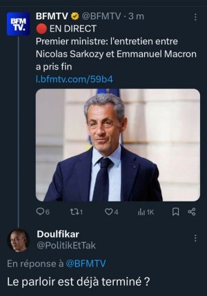 Sarko au parloir.jpg